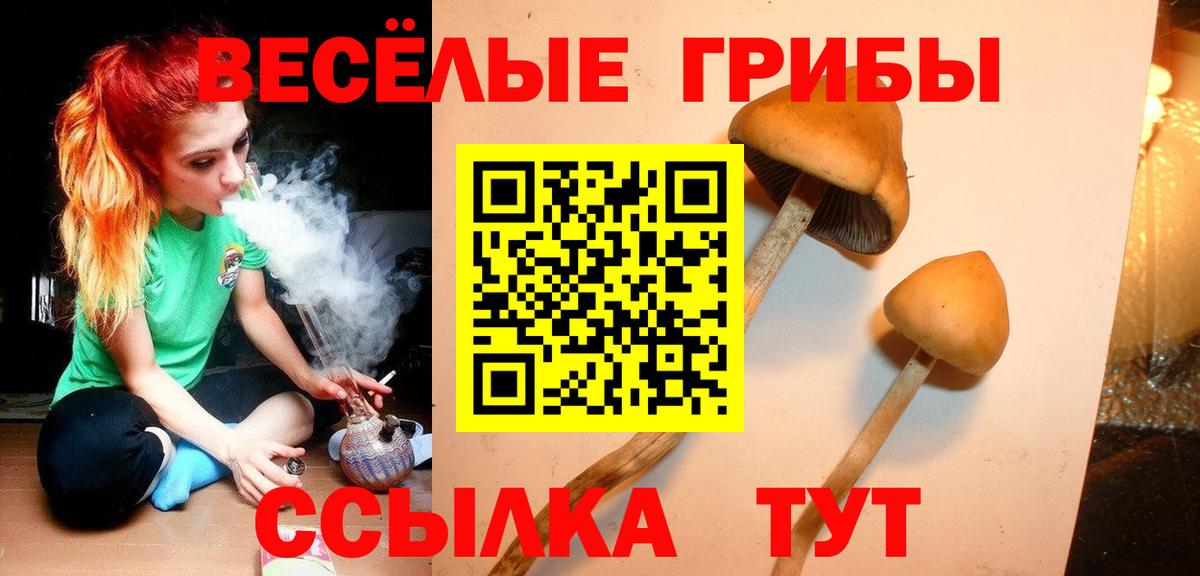 Псилоцибиновые грибы прущие грибы Гурьевск